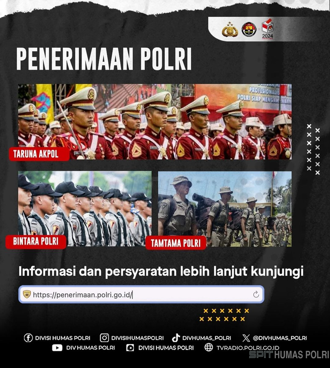 Resmi Dibuka! Inilah Syarat Dan Alur Pendaftaran Rekrutmen Terpadu ...